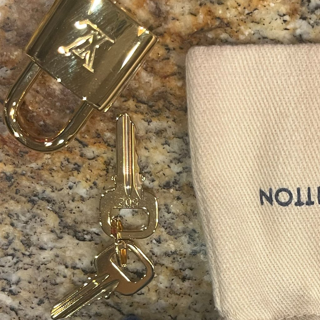 Brand New Louis Vuitton Grand Palis Bag  Zippy Wallet